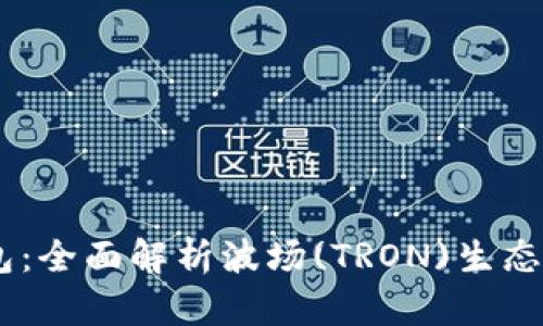 biatoTokenPocket钱包：全面解析波场(TRON)生态中的数字资产管理利器