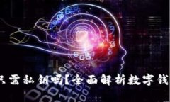 TP钱包：只需私钥吗？全面解析数字钱包安全性