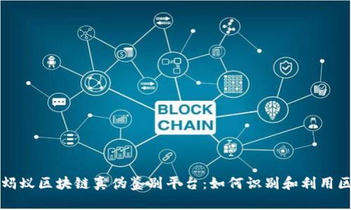 全面解析蚂蚁区块链真伪鉴别平台：如何识别和利用区块链技术